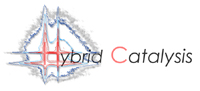 www.hybridcatalysis.com